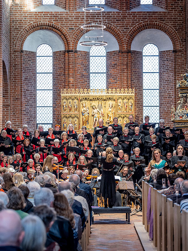 Das Landesjugendorchester Schleswig-Holstein im Konzert